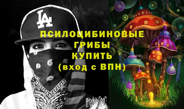 прущий лед Вязьма